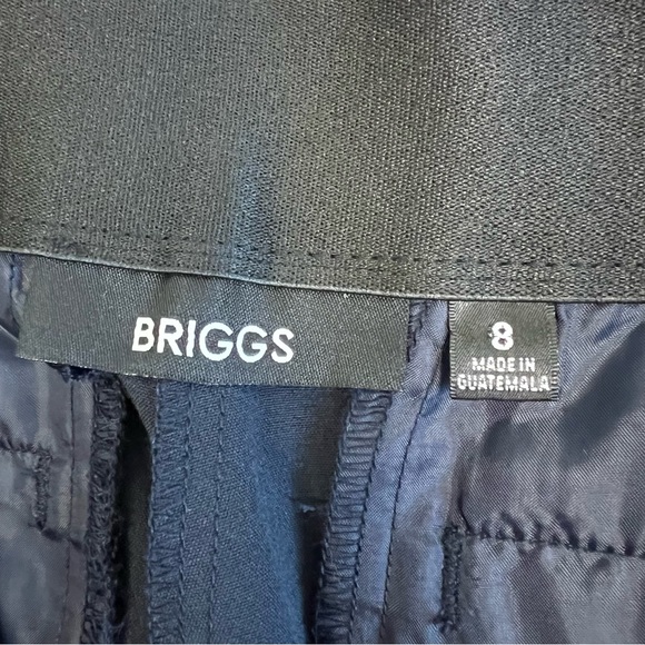 Briggs Perfect Fit Bi-Stretch Pants Size 8 - Picture 5 of 8
